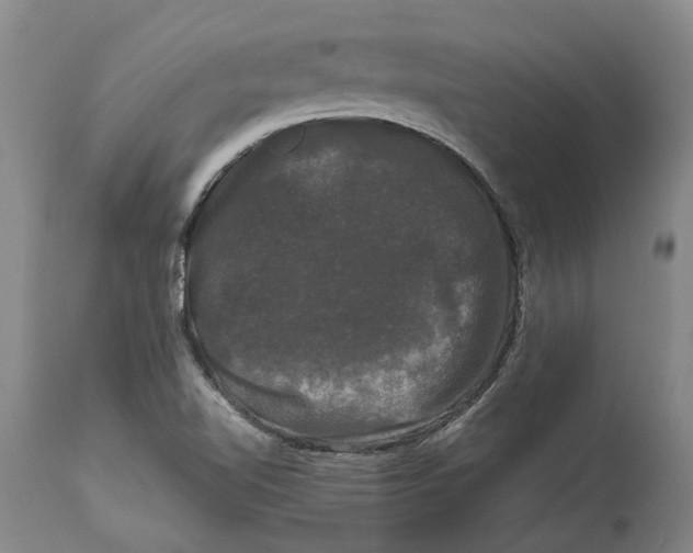 X0000115101510200911171228