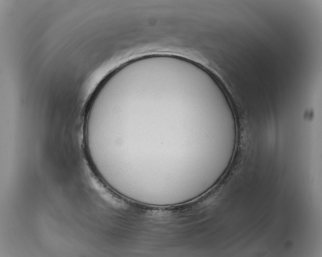 X0000115101511200911171228