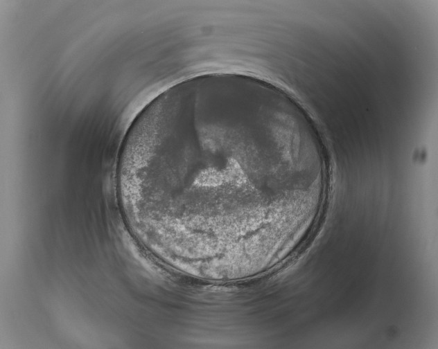 X0000115101513200911171228