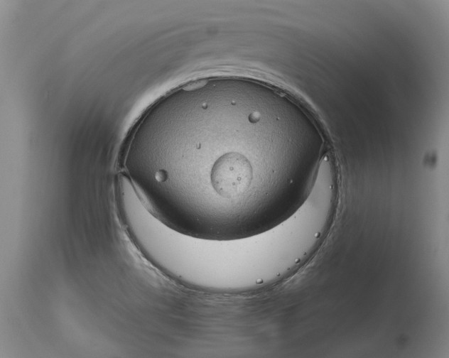 X0000115101514200911171228