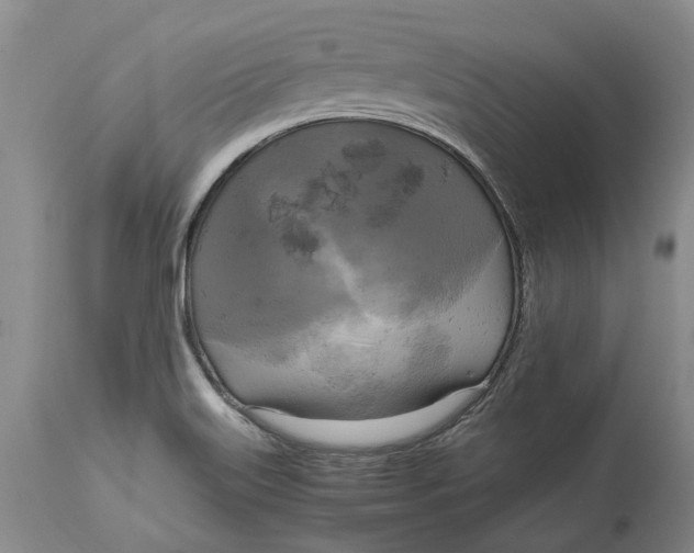 X0000115101515200911171228