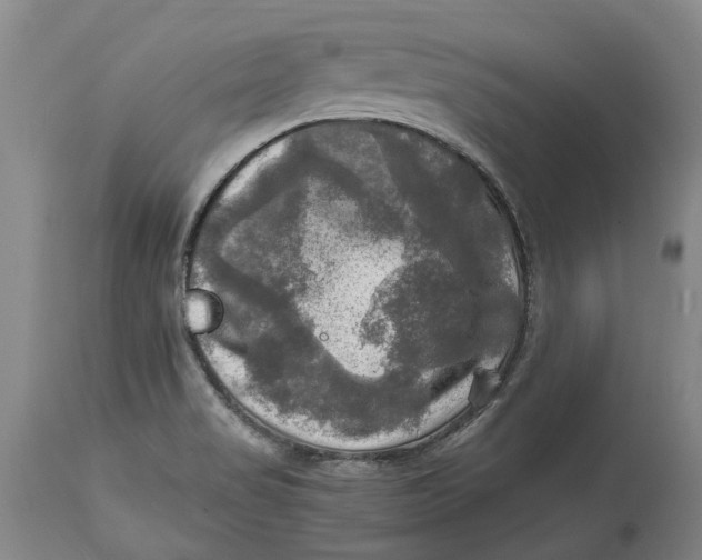 X0000115101517200911171228