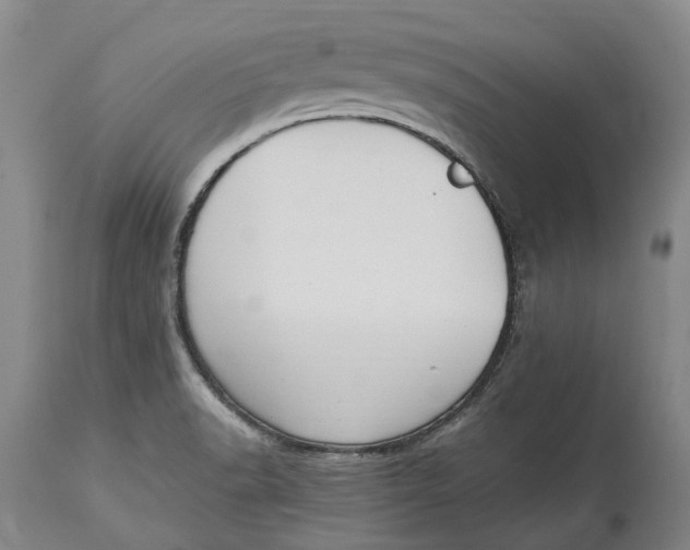 X0000115101518200911171228