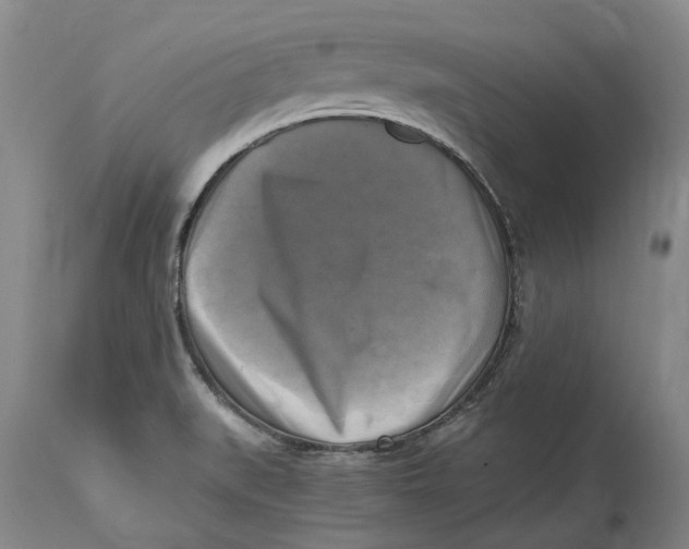 X0000115101519200911171228