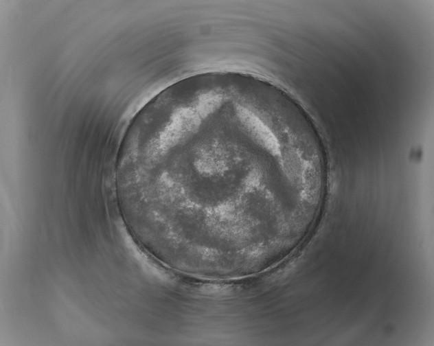 X0000115101521200911171228