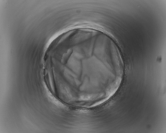 X0000115101522200911171228