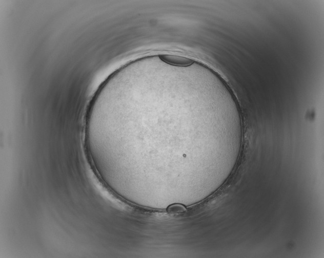 X0000115101523200911171228