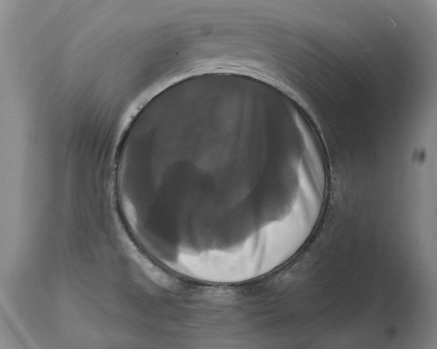 X0000115101525200911171228