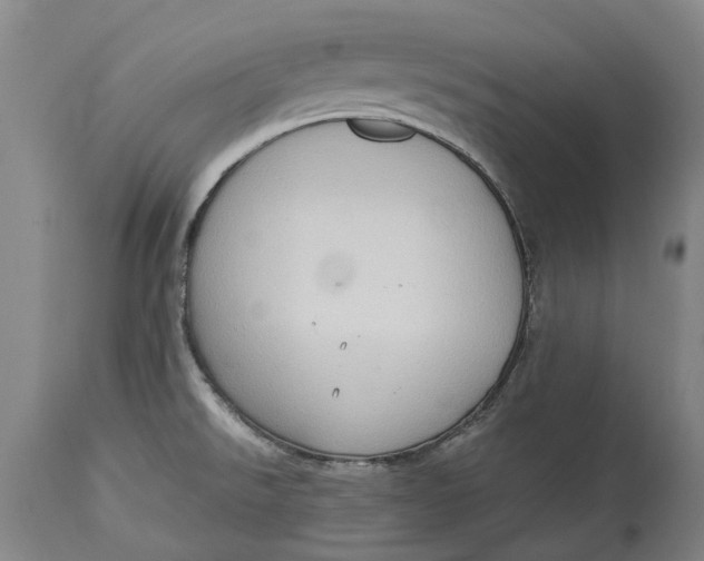 X0000115101526200911171228