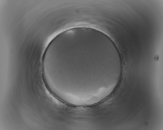 X0000115101527200911171228