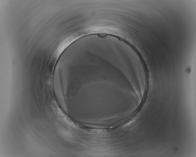 X0000115101529200911171228