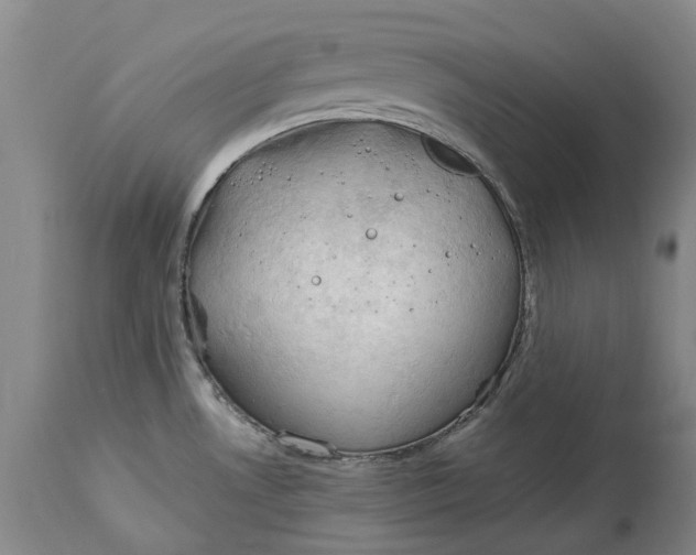 X0000115101530200911171228