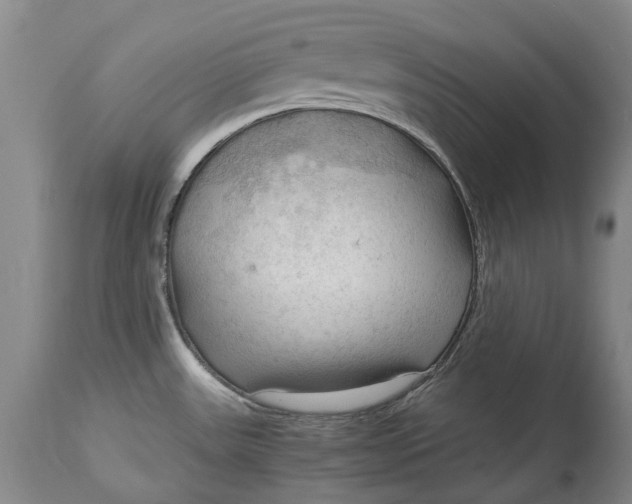 X0000115101531200911171228