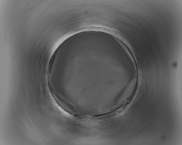 X0000115101533200911171228