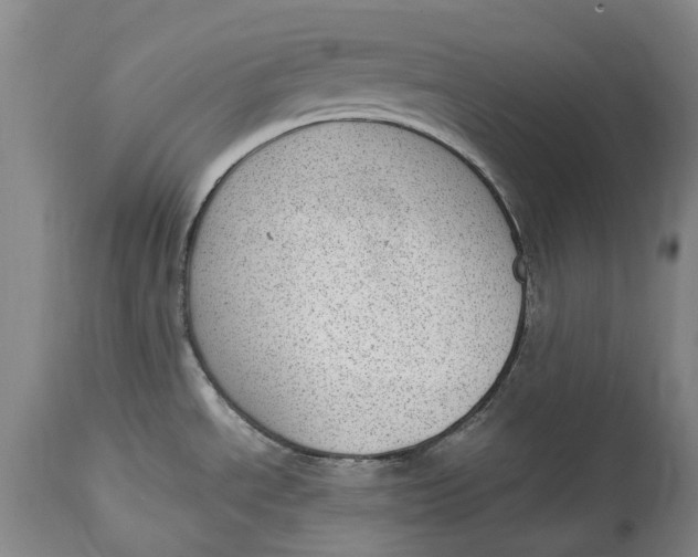 X0000115101534200911171228