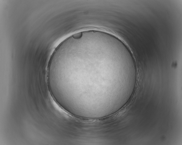 X0000115101535200911171228