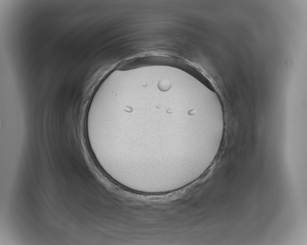 X0000115100001200911241243