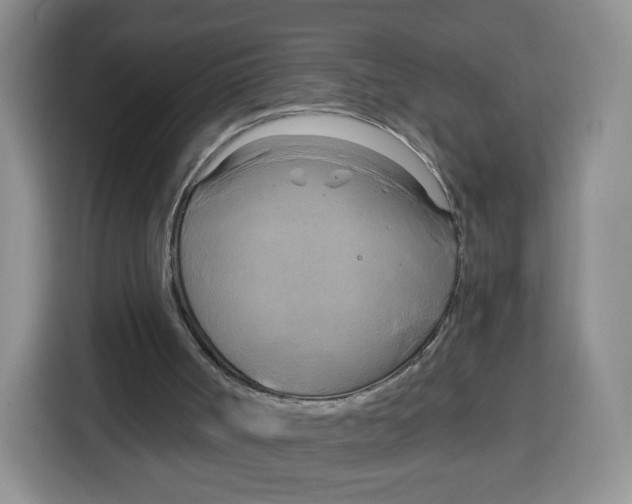 X0000115100002200911241243