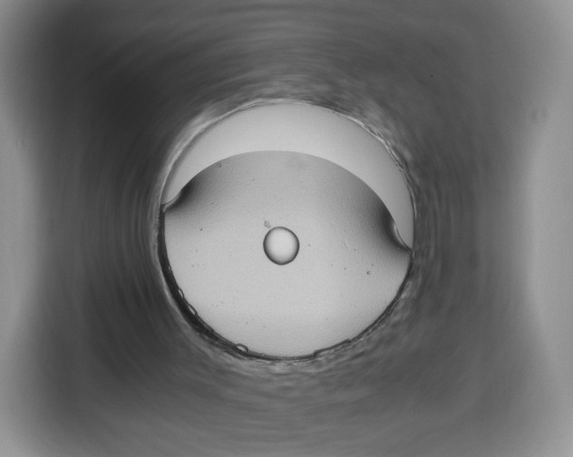 X0000115100003200911241243