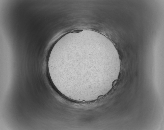 X0000115100005200911241243