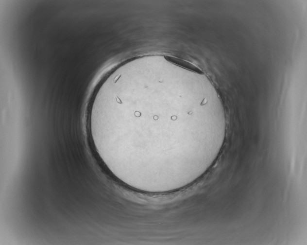 X0000115100006200911241243