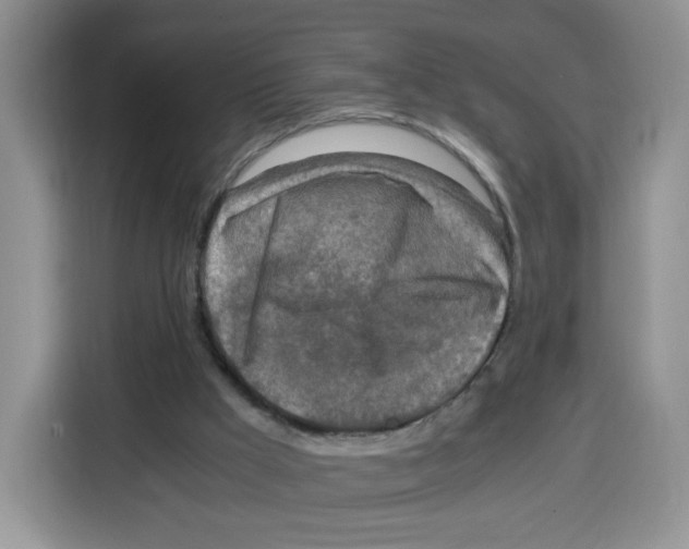 X0000115100009200911241243