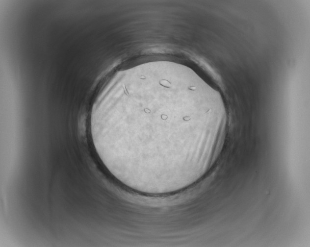 X0000115100010200911241243