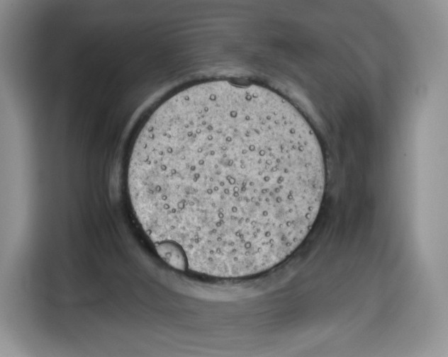 X0000115100012200911241243