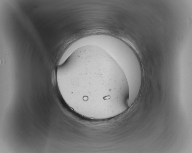 X0000115100013200911241243