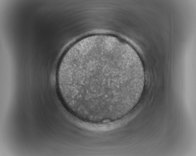 X0000115100015200911241243