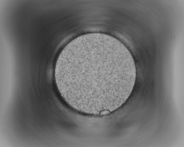 X0000115100016200911241243