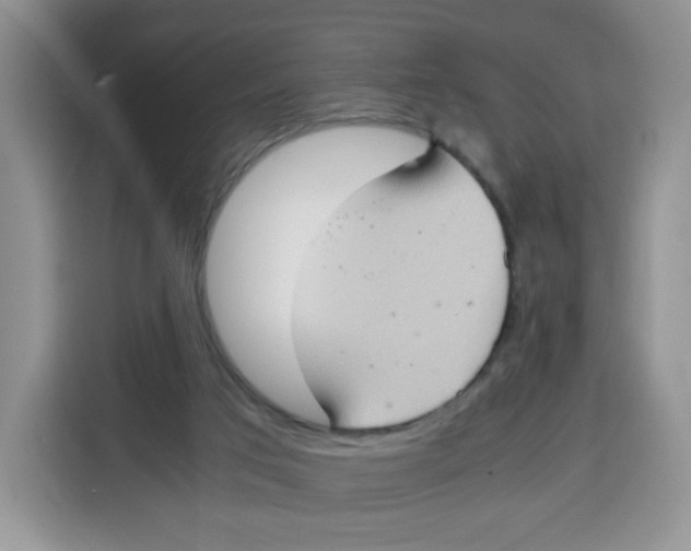 X0000115100017200911241243