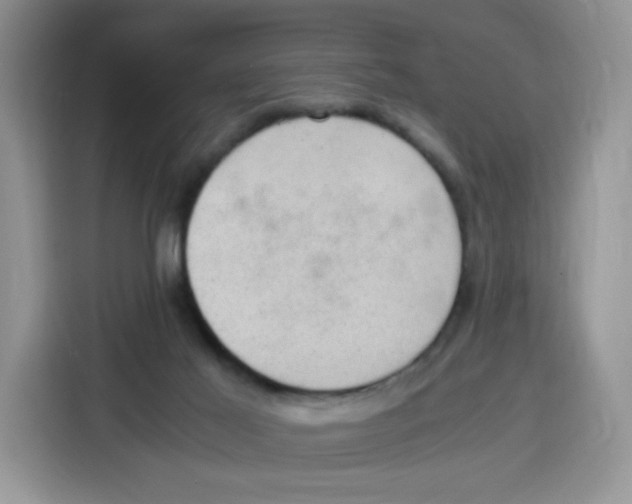 X0000115100021200911241243