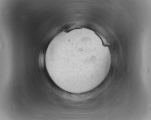 X0000115100022200911241243