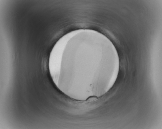 X0000115100023200911241243