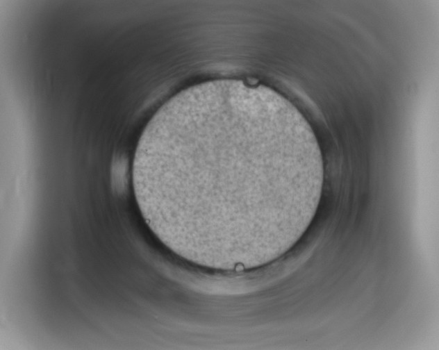 X0000115100024200911241243