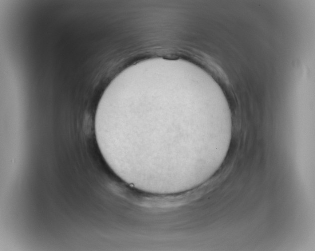 X0000115100025200911241243