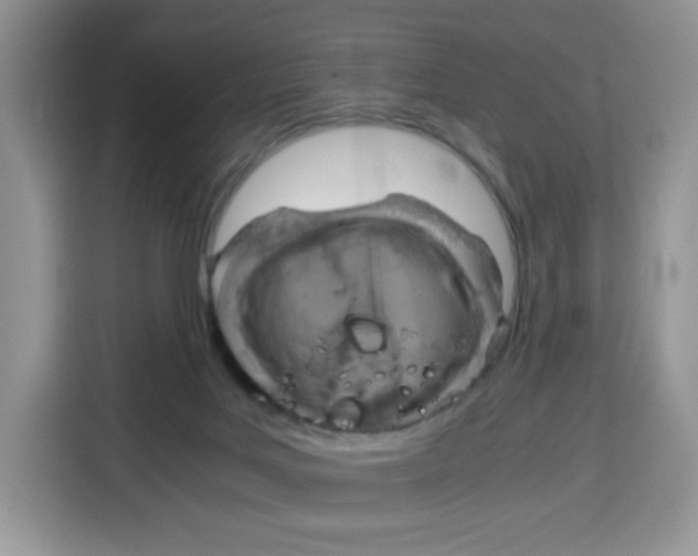 X0000115100027200911241242