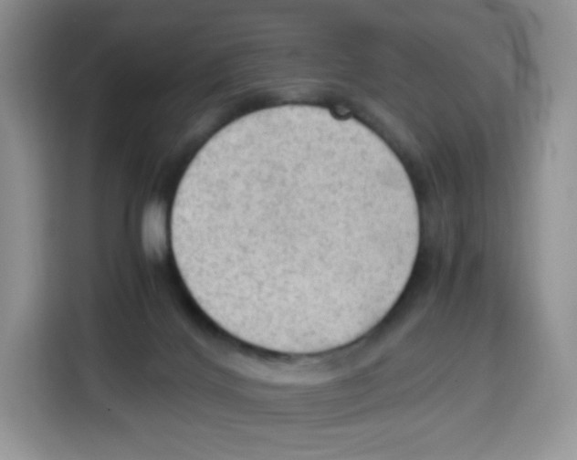 X0000115100028200911241242