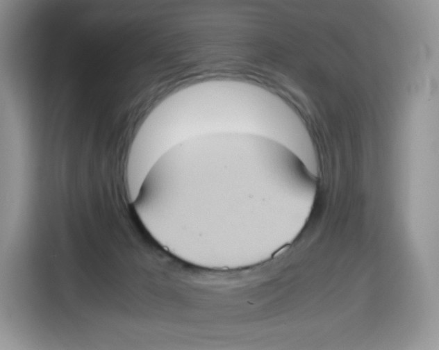 X0000115100029200911241242