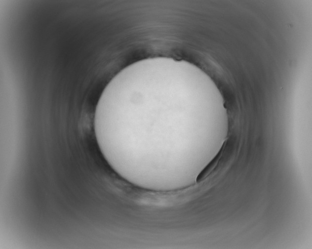 X0000115100033200911241242