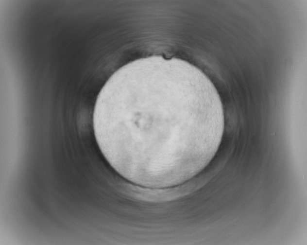 X0000115100034200911241242