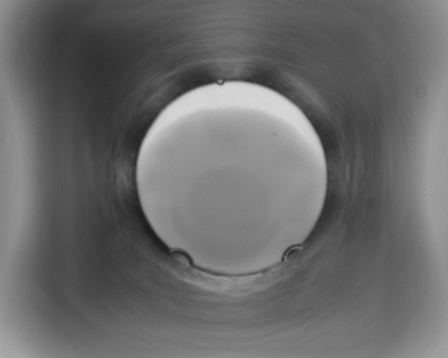 X0000115100035200911241242