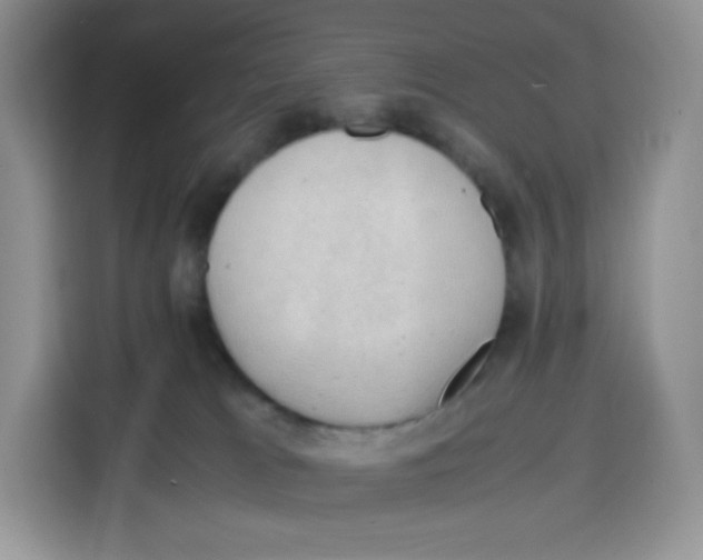 X0000115100037200911241242