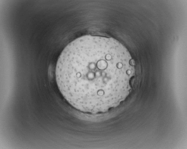 X0000115100038200911241242