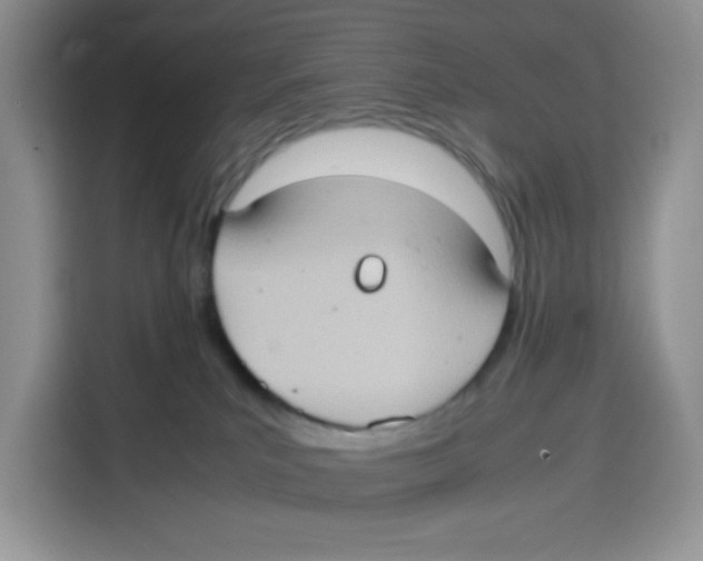 X0000115100039200911241242