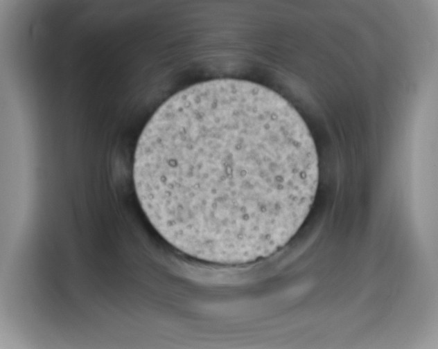 X0000115100040200911241242