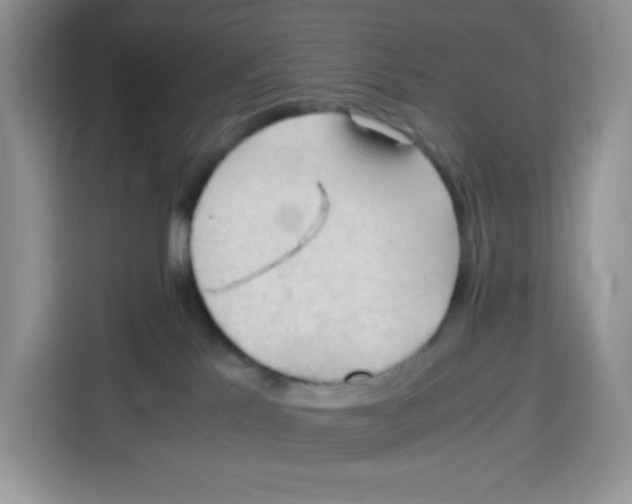 X0000115100041200911241242