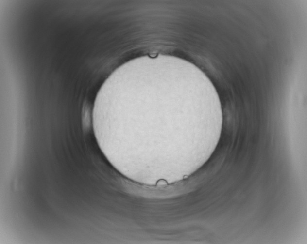 X0000115100042200911241242