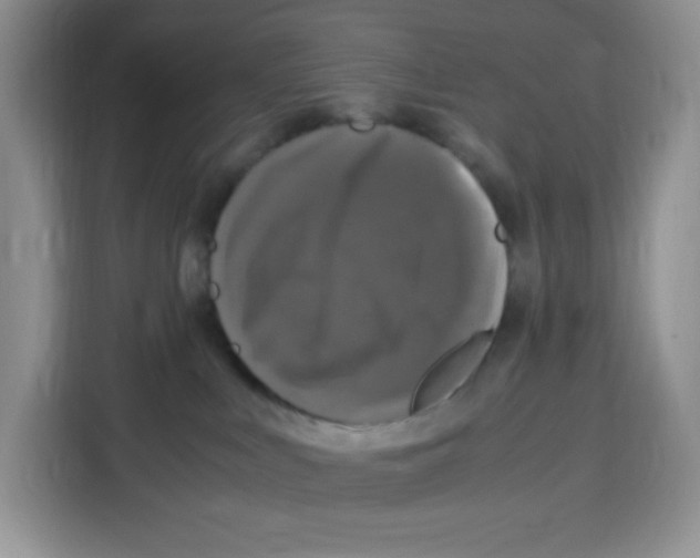 X0000115100043200911241242